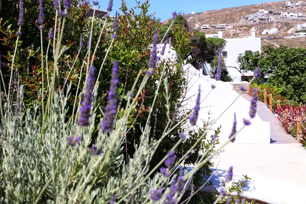 Aelia Mykonos Hotel Ornos  Exterior photo